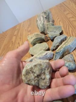 Man Riding Mastodon Petroglyph Native American Stone Effigy Artifacts, Tools