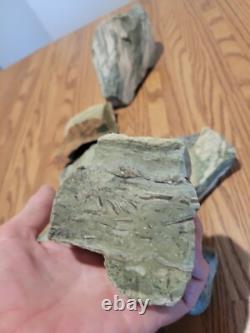 Man Riding Mastodon Petroglyph Native American Stone Effigy Artifacts, Tools