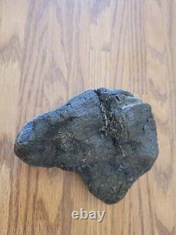 Mountain Goat Native American Indian Stone Effigy Art, Artifacts, Tools