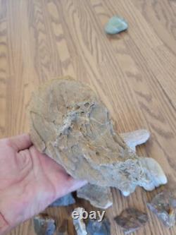 Mountain Goat + Native American Indian Stone Effigy Rock Art, Artifacts, Tools