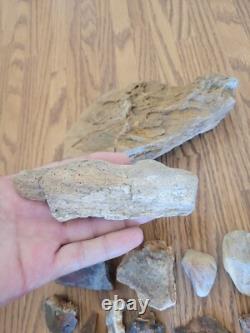 Mountain Goat + Native American Indian Stone Effigy Rock Art, Artifacts, Tools