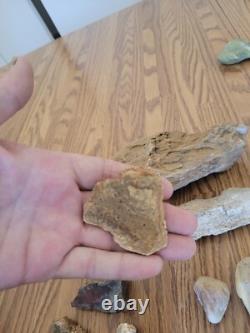 Mountain Goat + Native American Indian Stone Effigy Rock Art, Artifacts, Tools