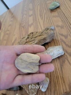 Mountain Goat + Native American Indian Stone Effigy Rock Art, Artifacts, Tools
