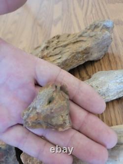 Mountain Goat + Native American Indian Stone Effigy Rock Art, Artifacts, Tools