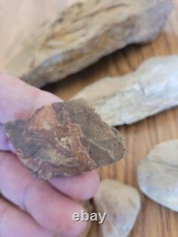 Mountain Goat + Native American Indian Stone Effigy Rock Art, Artifacts, Tools