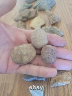 Mouse / Dog Native American Indian Stone Effigy Rock Art, Artifacts, Tools