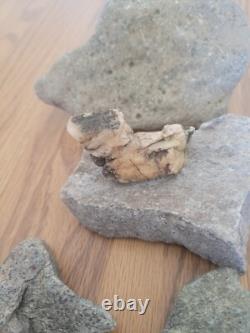 Mouse / Dog Native American Indian Stone Effigy Rock Art, Artifacts, Tools