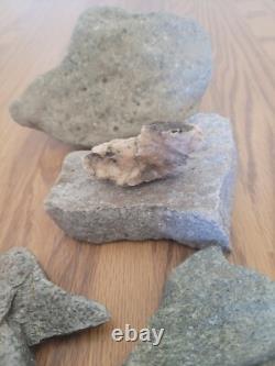 Mouse / Dog Native American Indian Stone Effigy Rock Art, Artifacts, Tools