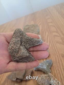 Mouse / Dog Native American Indian Stone Effigy Rock Art, Artifacts, Tools