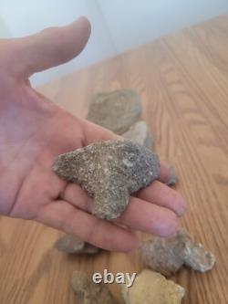 Mouse / Dog Native American Indian Stone Effigy Rock Art, Artifacts, Tools