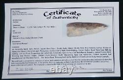 NICE EARLY ARCHAIC DALTON POINT with KEN PARTAIN COA FOR YOUR COLLECTION! C839