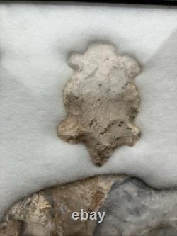 Native American Authentic Animals Hooks And Other Tools