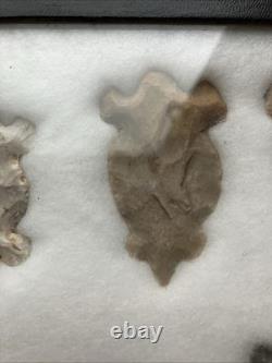 Native American Authentic Animals Hooks And Other Tools