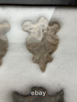 Native American Authentic Animals Hooks And Other Tools