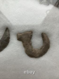 Native American Authentic Animals Hooks And Other Tools