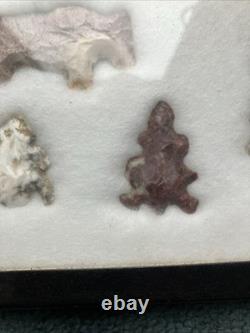 Native American Authentic Animals Hooks And Other Tools