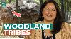 Native Peoples Of The Woodlands Learn About The History And Culture Of Native Peoples