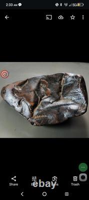 Paleo Indian Effigy Mysterious Creatures Attacking Each Other