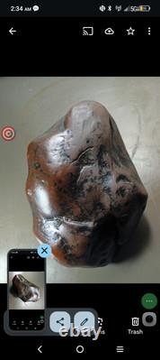 Paleo Indian Effigy Mysterious Creatures Attacking Each Other