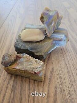 Petrified Wood Anvil Native American Stone Effigy Rock Art, Artifacts, Tools