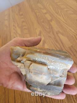 Petrified Wood Anvil Native American Stone Effigy Rock Art, Artifacts, Tools