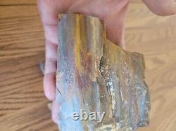 Petrified Wood Anvil Native American Stone Effigy Rock Art, Artifacts, Tools