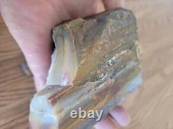 Petrified Wood Anvil Native American Stone Effigy Rock Art, Artifacts, Tools