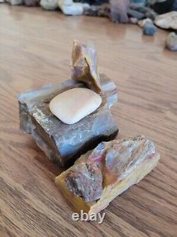 Petrified Wood Anvil Native American Stone Effigy Rock Art, Artifacts, Tools