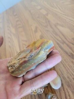 Petrified Wood Anvil Native American Stone Effigy Rock Art, Artifacts, Tools