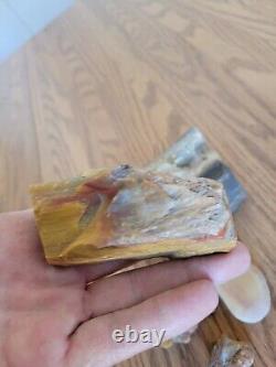 Petrified Wood Anvil Native American Stone Effigy Rock Art, Artifacts, Tools