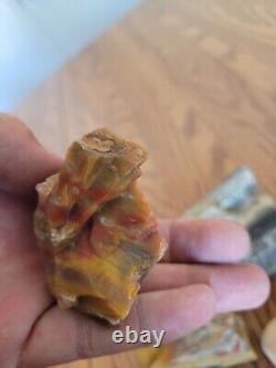 Petrified Wood Anvil Native American Stone Effigy Rock Art, Artifacts, Tools