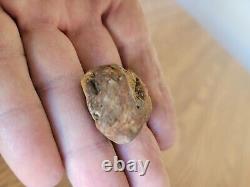 Petrified Wood Anvil Native American Stone Effigy Rock Art, Artifacts, Tools