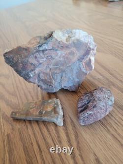 Petrified Wood Branch Anvil Native American Stone Rock Art, Artifacts, Tools