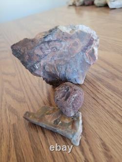 Petrified Wood Branch Anvil Native American Stone Rock Art, Artifacts, Tools