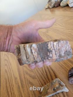 Petrified Wood Branch Anvil Native American Stone Rock Art, Artifacts, Tools