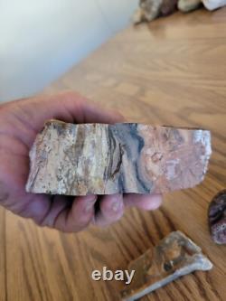 Petrified Wood Branch Anvil Native American Stone Rock Art, Artifacts, Tools