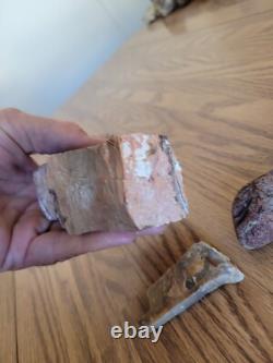 Petrified Wood Branch Anvil Native American Stone Rock Art, Artifacts, Tools
