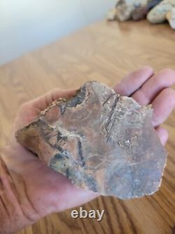 Petrified Wood Branch Anvil Native American Stone Rock Art, Artifacts, Tools