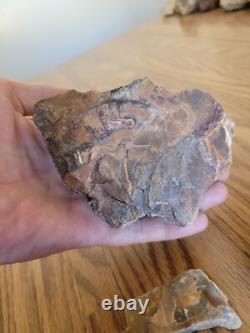 Petrified Wood Branch Anvil Native American Stone Rock Art, Artifacts, Tools