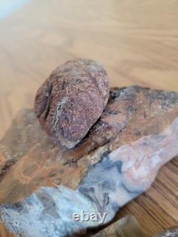 Petrified Wood Branch Anvil Native American Stone Rock Art, Artifacts, Tools