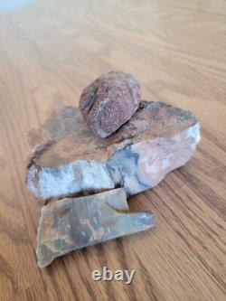 Petrified Wood Branch Anvil Native American Stone Rock Art, Artifacts, Tools