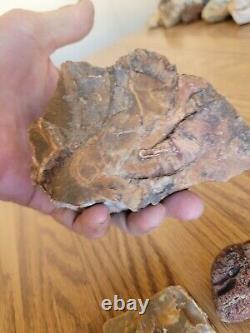Petrified Wood Branch Anvil Native American Stone Rock Art, Artifacts, Tools