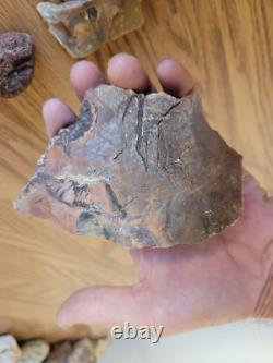 Petrified Wood Branch Anvil Native American Stone Rock Art, Artifacts, Tools