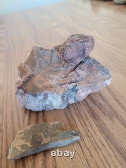 Petrified Wood Branch Anvil Native American Stone Rock Art, Artifacts, Tools