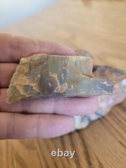 Petrified Wood Branch Anvil Native American Stone Rock Art, Artifacts, Tools