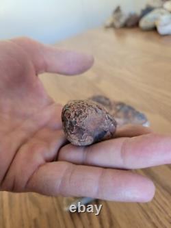 Petrified Wood Branch Anvil Native American Stone Rock Art, Artifacts, Tools