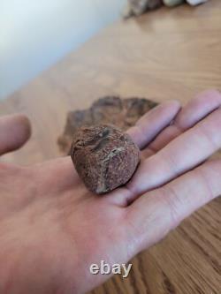 Petrified Wood Branch Anvil Native American Stone Rock Art, Artifacts, Tools