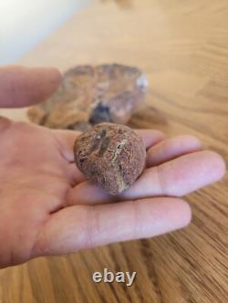 Petrified Wood Branch Anvil Native American Stone Rock Art, Artifacts, Tools