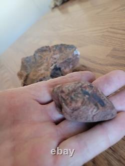Petrified Wood Branch Anvil Native American Stone Rock Art, Artifacts, Tools