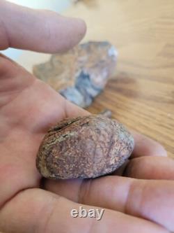 Petrified Wood Branch Anvil Native American Stone Rock Art, Artifacts, Tools